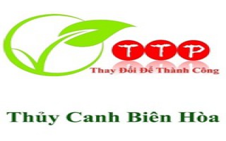 Nguyễn Chí Thanh thành công với mô hình rau thủy canh tại Biên Hòa